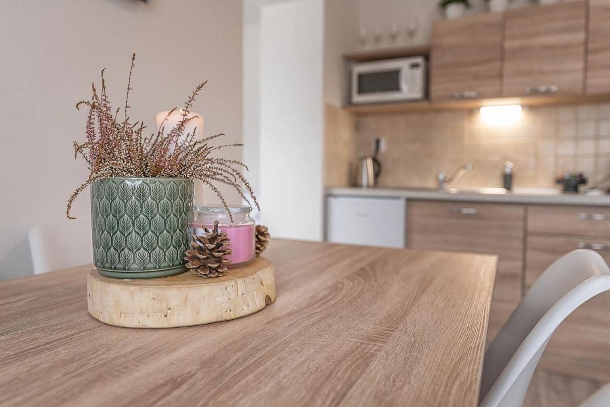 Apartmány MINATA Lipótszentmiklós Kültér fotó